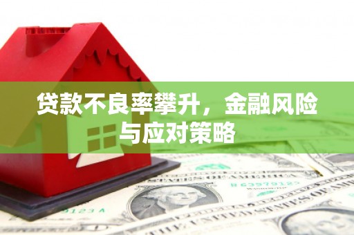信丰贷款不良率攀升，金融风险与应对策略