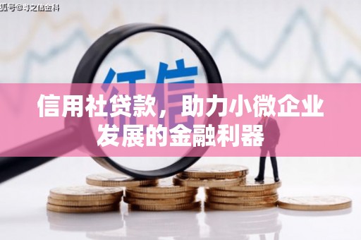 信丰信用社贷款，助力小微企业发展的金融利器