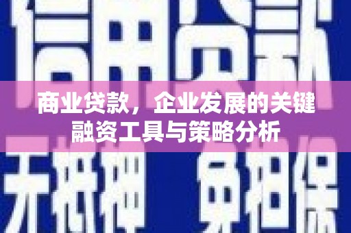 信丰商业贷款，企业发展的关键融资工具与策略分析
