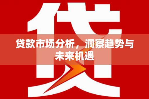 信丰贷款市场分析，洞察趋势与未来机遇