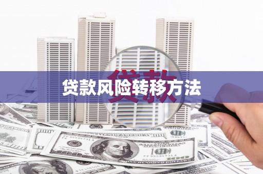 信丰贷款风险转移方法