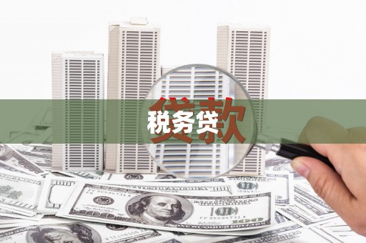 信丰税务贷
