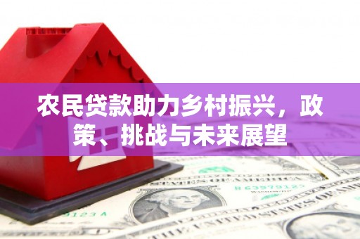 信丰农民贷款助力乡村振兴，政策、挑战与未来展望