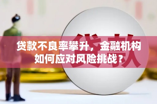 信丰贷款不良率攀升，金融机构如何应对风险挑战？