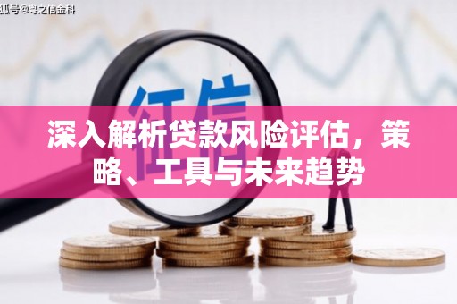 信丰深入解析贷款风险评估，策略、工具与未来趋势