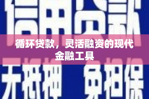 信丰循环贷款，灵活融资的现代金融工具
