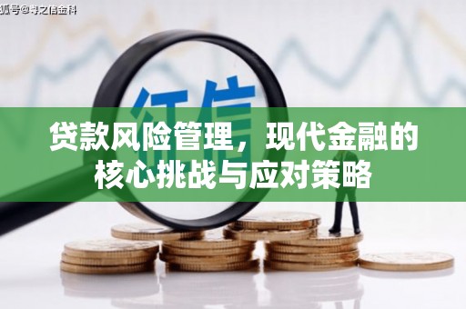 信丰贷款风险管理，现代金融的核心挑战与应对策略
