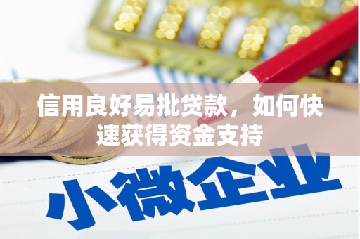 信丰信用良好易批贷款，如何快速获得资金支持