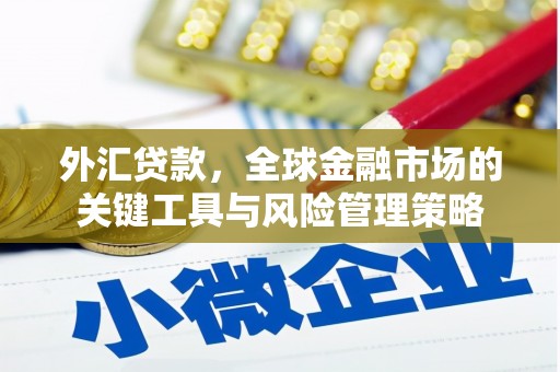 信丰外汇贷款，全球金融市场的关键工具与风险管理策略