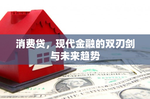 信丰消费贷，现代金融的双刃剑与未来趋势
