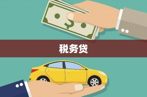 信丰税务贷