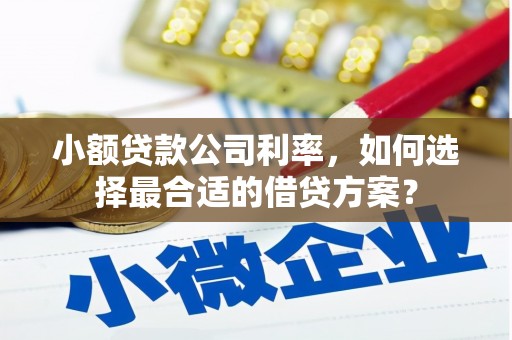 信丰小额贷款公司利率，如何选择最合适的借贷方案？