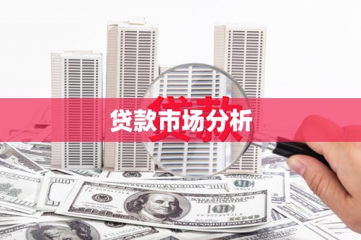信丰贷款市场分析