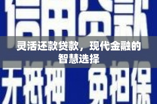 信丰灵活还款贷款，现代金融的智慧选择
