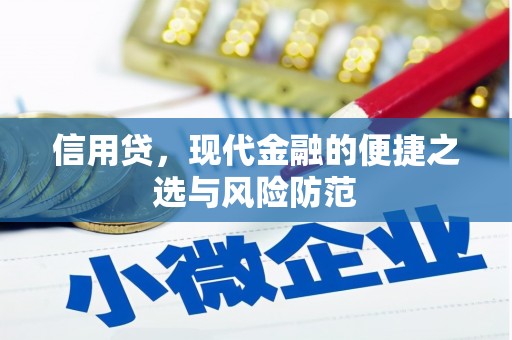 信丰信用贷，现代金融的便捷之选与风险防范