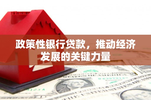 信丰政策性银行贷款，推动经济发展的关键力量