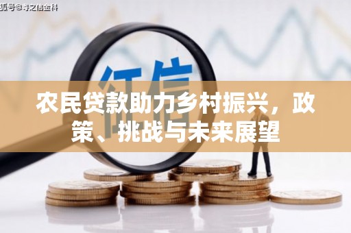 信丰农民贷款助力乡村振兴，政策、挑战与未来展望