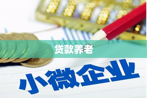 信丰贷款养老