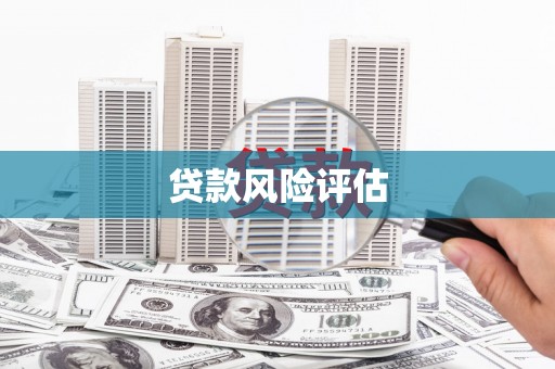 信丰贷款风险评估
