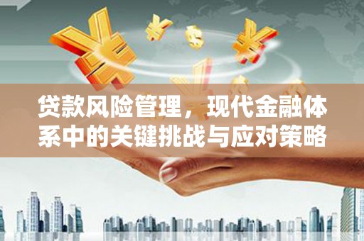 信丰贷款风险管理，现代金融体系中的关键挑战与应对策略