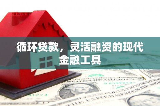 信丰循环贷款，灵活融资的现代金融工具