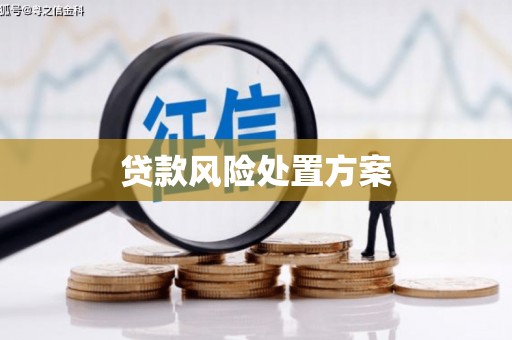 信丰贷款风险处置方案