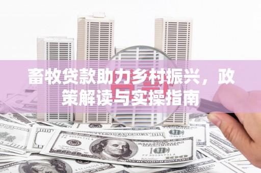 信丰畜牧贷款助力乡村振兴，政策解读与实操指南