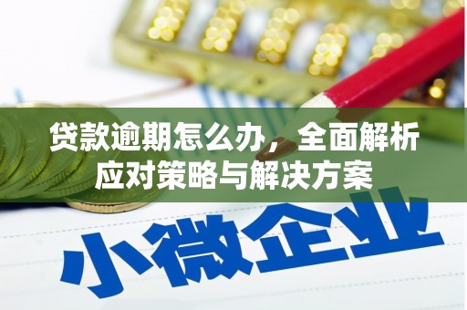 信丰贷款逾期怎么办，全面解析应对策略与解决方案